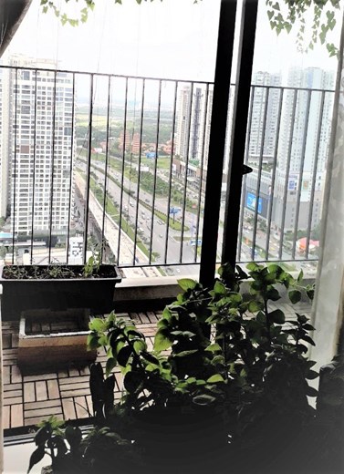 Apartment for rent D2141697 (4)